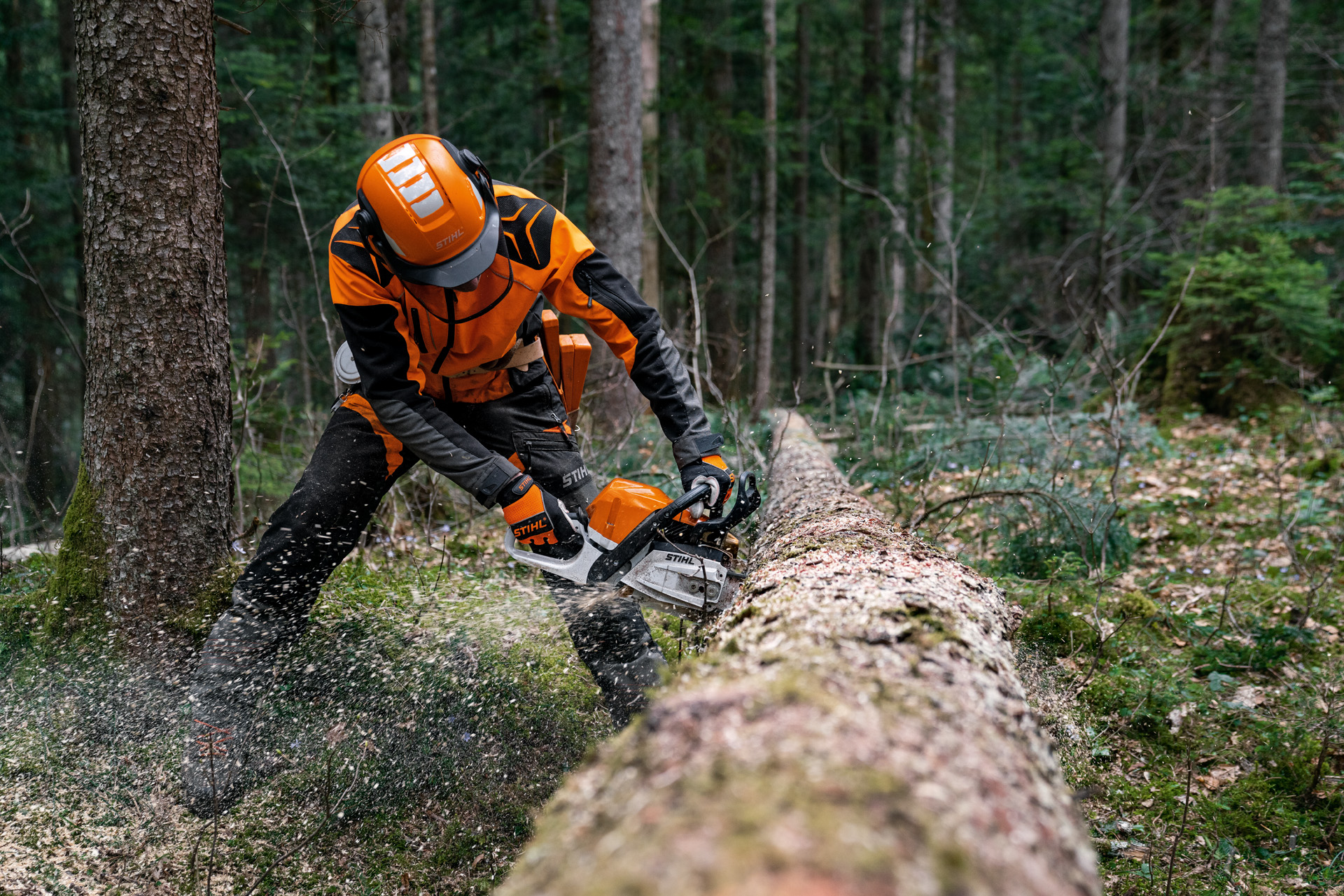En man i skyddsutrustning bearbetar en fälld trädstam med en STIHL bensinmotorsåg MS 400 C-M med magnesiumkolv